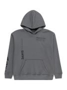 Abercrombie & Fitch Sweatshirt  mørkegrå / sort