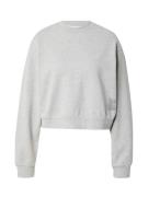 REPLAY Sweatshirt  grå