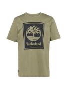 TIMBERLAND Bluser & t-shirts  oliven / sort