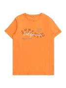 NAME IT Shirts 'VUX'  lyseblå / orange / sort / hvid
