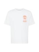 TIMBERLAND Bluser & t-shirts  orange / hvid