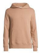 AÉROPOSTALE Sweatshirt  brun