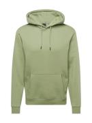 Only & Sons Sweatshirt 'Ceres'  grøn