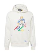 Polo Ralph Lauren Sweatshirt  blå / gul / rød / hvid