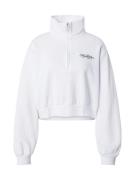 HOLLISTER Sweatshirt  navy / hvid