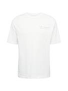 SELECTED HOMME Bluser & t-shirts  gammelrosa / hvid