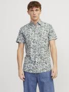 JACK & JONES Skjorte 'Lafayette'  jade / sort / hvid