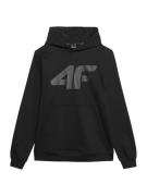 4F Sportsweatshirt  grå / sort