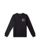 O'NEILL Sweatshirt 'Circle Surfer Crew'  blå / pink / sort