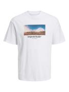 JACK & JONES Bluser & t-shirts 'Vesterbro'  blandingsfarvet / hvid