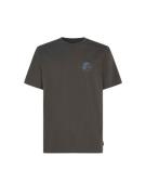 O'NEILL Bluser & t-shirts 'Og Sun'  blå / grå / orange / sort