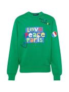 Polo Ralph Lauren Sweatshirt  royalblå / grøn / rød / hvid