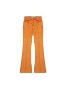 Scalpers Jeans  orange