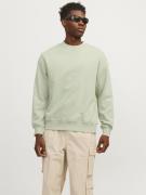 JACK & JONES Sweatshirt 'COLLECTIVE'  pastelgrøn