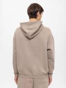 Antioch Sweatshirt  beige / mørkebeige