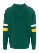 FILA Sweatshirt  smaragd / blandingsfarvet
