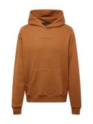 Jordan Sweatshirt 'AIR JDN'  cognac