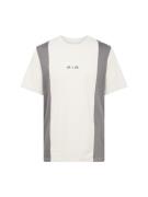 Nike Sportswear Bluser & t-shirts 'AIR'  mørkegrå / naturhvid