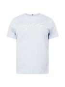 Tommy Hilfiger Curve Shirts  lyseblå / hvid