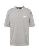 Pegador Bluser & t-shirts 'BASS'  grå / hvid