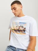 JACK & JONES Bluser & t-shirts 'Tampa'  sand / blå / gran / hvid