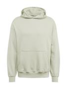 JACK & JONES Sweatshirt 'COLLECTIVE'  pastelgrøn