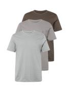 AllSaints Bluser & t-shirts 'BRACE'  mørkebrun / stone / lysegrå