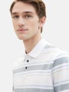 TOM TAILOR Bluser & t-shirts  beige / lyseblå / grå / hvid