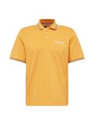 JACK & JONES Bluser & t-shirts 'ARCHIE'  safran / sort / hvid