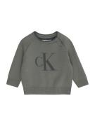 Calvin Klein Jeans Pullover  grå / gran