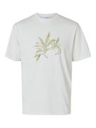 SELECTED HOMME Bluser & t-shirts 'Saul'  creme / grøn / lysegrøn