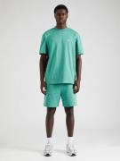 Pacemaker Bluser & t-shirts 'Bent'  grøn / hvid