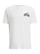 Tommy Jeans Bluser & t-shirts  lyseblå / laks / sort / hvid