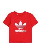 ADIDAS ORIGINALS Shirts 'TREFOIL'  rød / offwhite