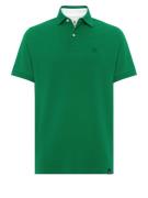 Boggi Milano Bluser & t-shirts  grøn