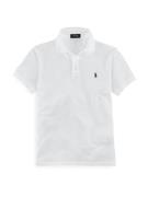 Polo Ralph Lauren Bluser & t-shirts  natblå / hvid