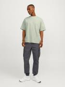 JACK & JONES Bluser & t-shirts 'JCOTanical'  pastelgrøn / sort