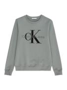 Calvin Klein Jeans Sweatshirt  grå / sort