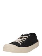 AllSaints Sneaker low 'SHERMAN'  sort / offwhite