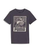 PUMA Shirts 'ESS+'  ecru / antracit