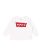 Levi's Kids Shirts 'Batwing'  rød / hvid