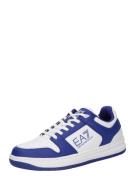 EA7 Emporio Armani Sneaker low  royalblå / hvid