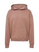 HOLLISTER Sweatshirt  mokka