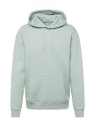 HOLLISTER Sweatshirt  pastelblå