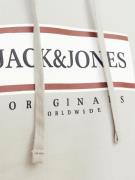 JACK & JONES Sweatshirt 'JORFREDERIKSBERG'  brun / lysegrå / sort / hv...