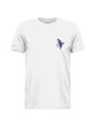 WESTMARK LONDON Bluser & t-shirts ' EMBROIDERY '  blandingsfarvet / hv...