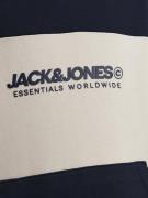 Jack & Jones Junior Sweatshirt  beige / natblå