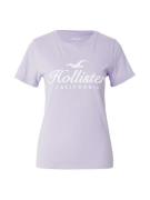 HOLLISTER Shirts  lilla / hvid