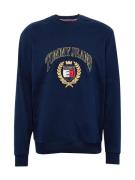 Tommy Jeans Sweatshirt  navy / mørkegul / rubinrød / hvid