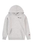 Champion Authentic Athletic Apparel Sweatshirt 'Icons'  marin / grå-me...